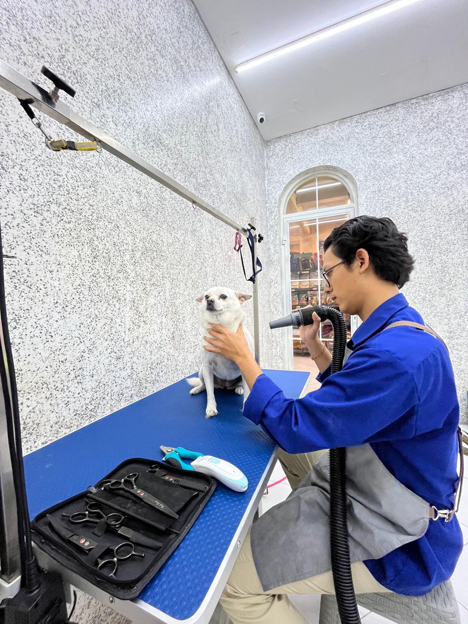 Grooming Professional